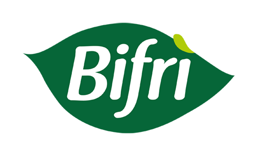 Logo_BIFRI_500px